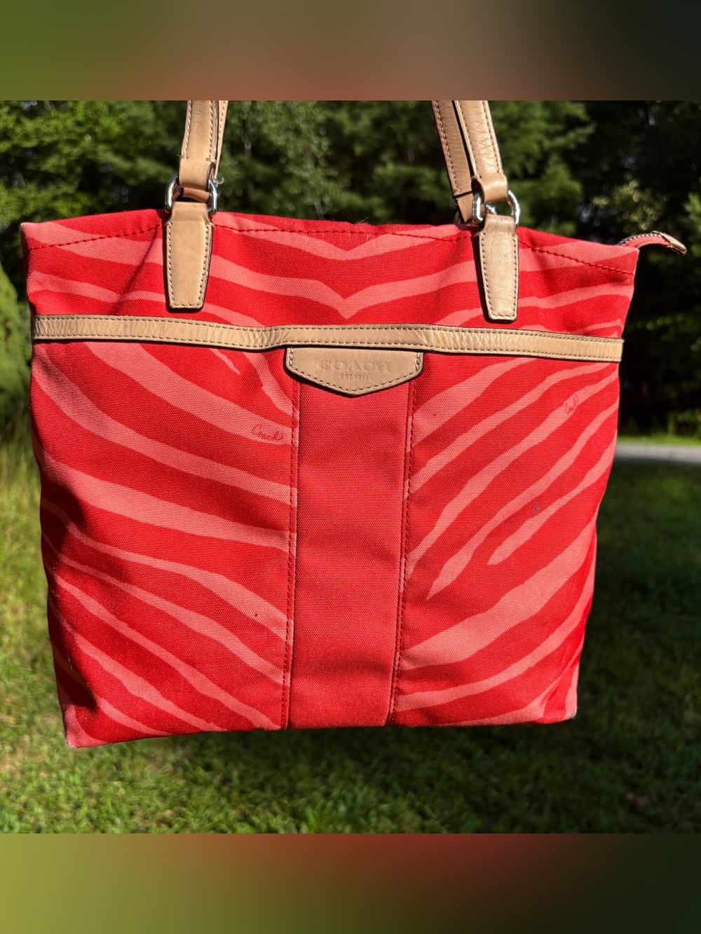 Coach Zebra-Print Shoulder Bag
